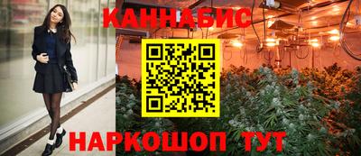 альфа пвп Новодвинск