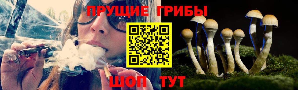Галлюциногенные грибы Cubensis Чусовой